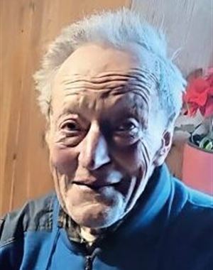 Anzeigenlogo Alois Lang