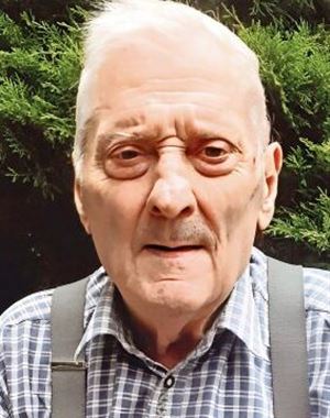 Profilbild Alois Pircher