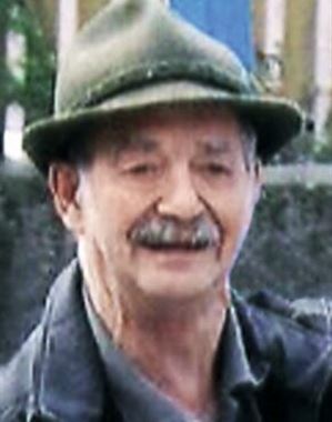 Profilbild Gregor Bertolin