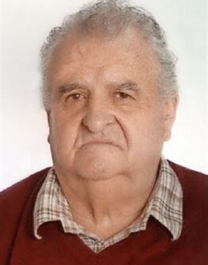 Herbert Bertoldi