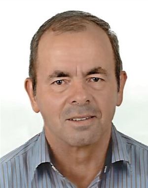 Profilbild von Hermann Gufler