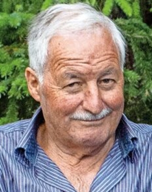 Profilbild von Hermann Mair