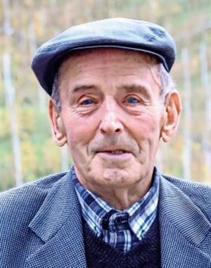 Profilbild Johann Prackwieser