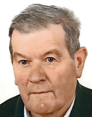 Profilbild von Josef Braunhofer