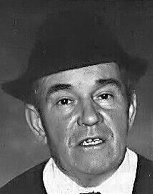 Profilbild Josef Lechner