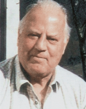 Profilbild Karl Vaja