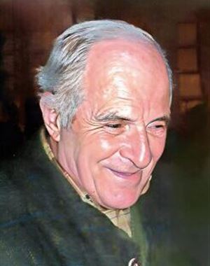 Profilbild von Karl Wiedenhofer