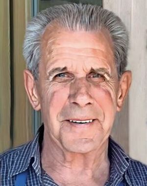 Profilbild Otto Pichler