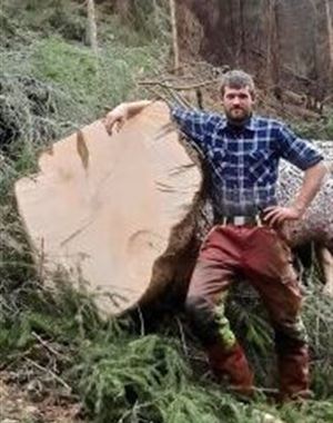 Profilbild Peter Nussbaumer