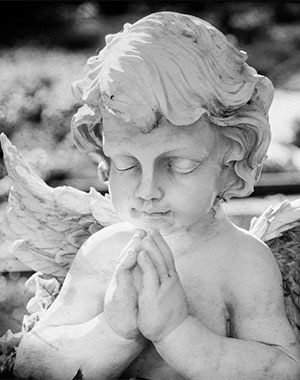 Profilbild Rosa Lanthaler