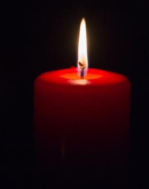 Profilbild Albert Taibon