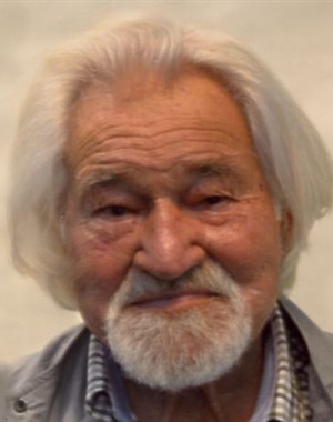 Profilbild Armin Ladurner