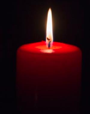 Profilbild David Paris