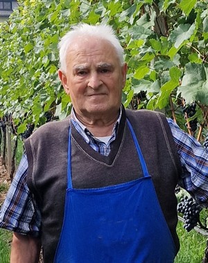 Profilbild Hermann Mayer