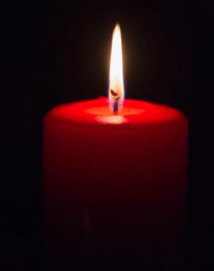 Profilbild Pia Maria Ploner